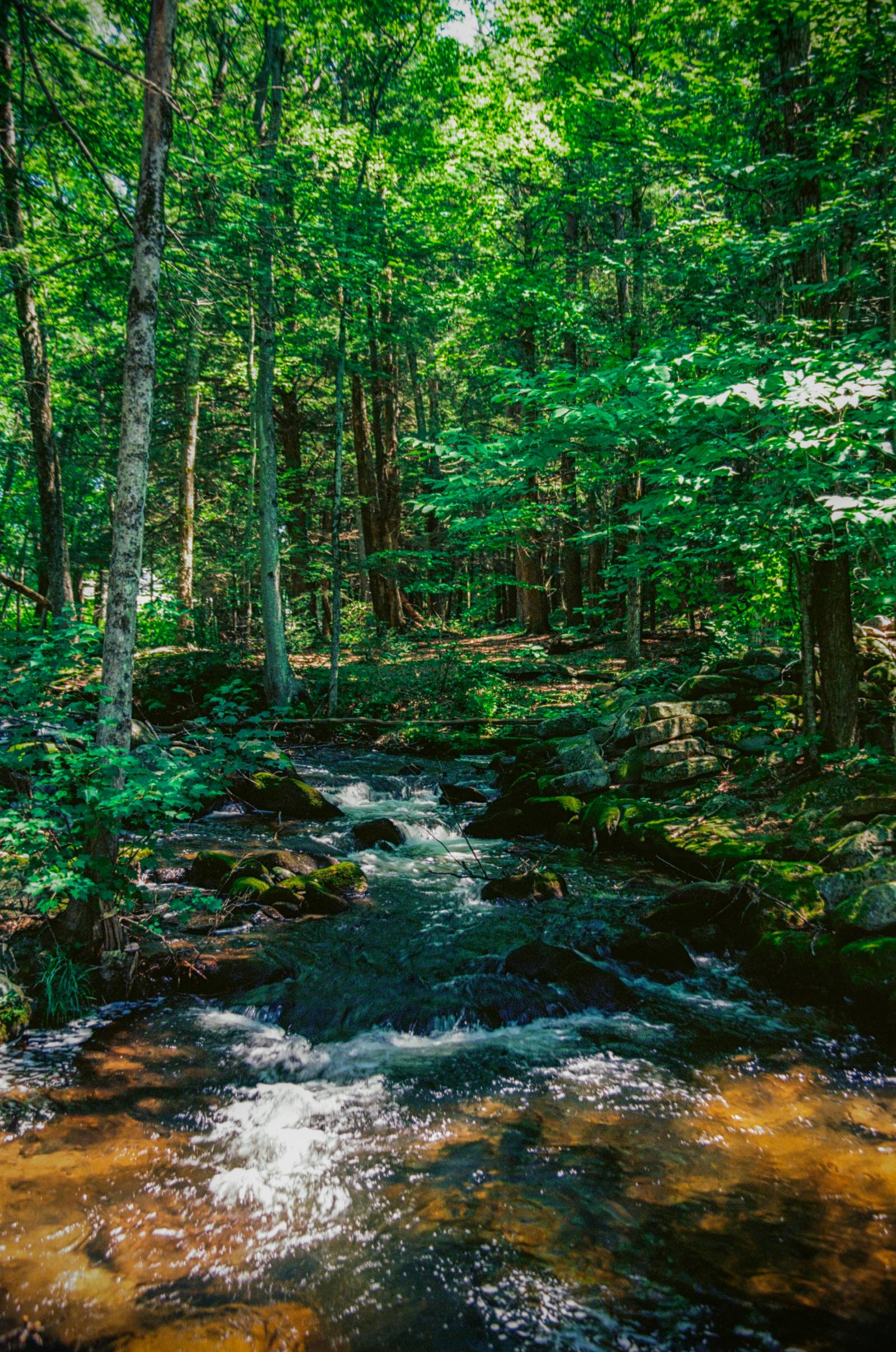 Build a Timber Frame Cabin on Your Creekside Property