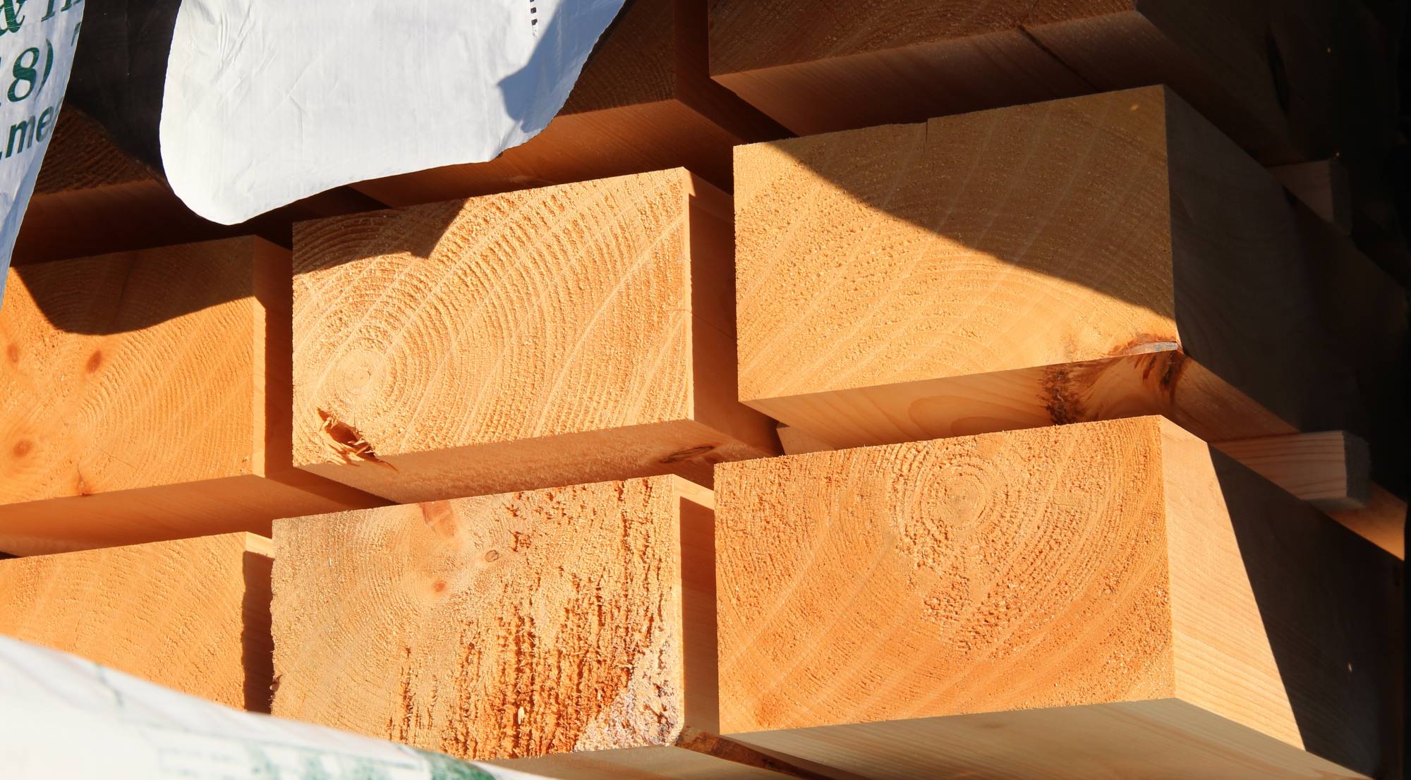 Douglas Fir Raw Timbers