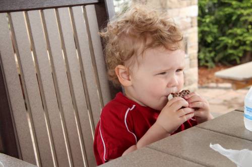 Ice cream sandwich for dessert