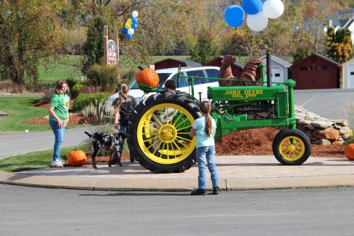 Everyone likes the tractor - even the goat!