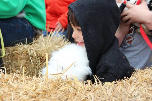 That is one fluffy bunny!