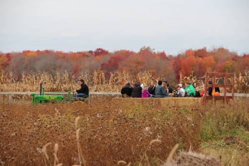 Hay ride rumbles across the field with fall colors all around