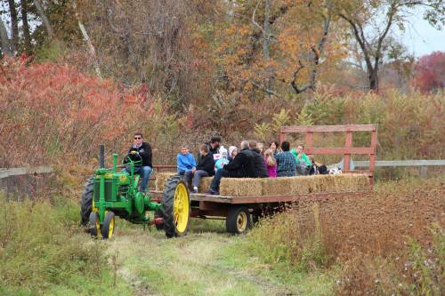 Here comes the tractor!