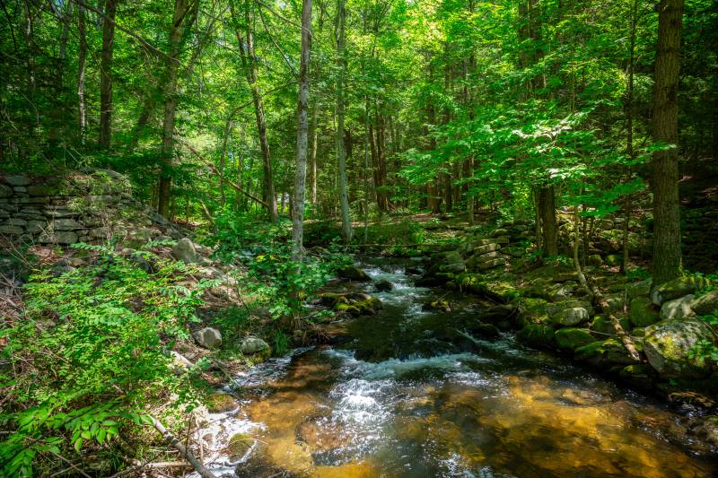 Views of the River Near the Post & Beam Barn Home