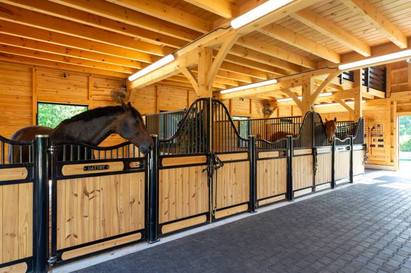 Three Stalls for Horses • Powder Coated Steel • Dutch Doors in Back