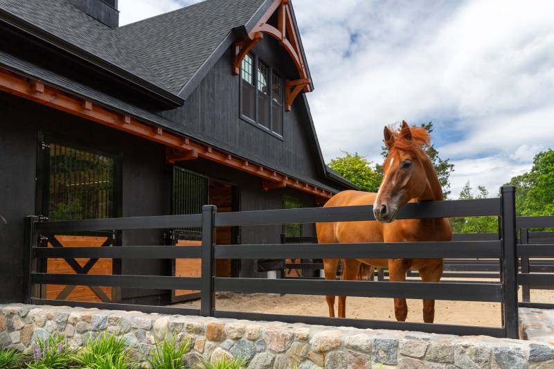 Steel Dutch Doors Let Horses Out With Ease